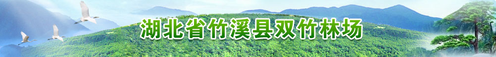宣传图片一